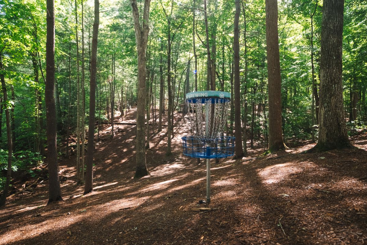 Hole 8 basket