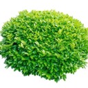 User avatar image