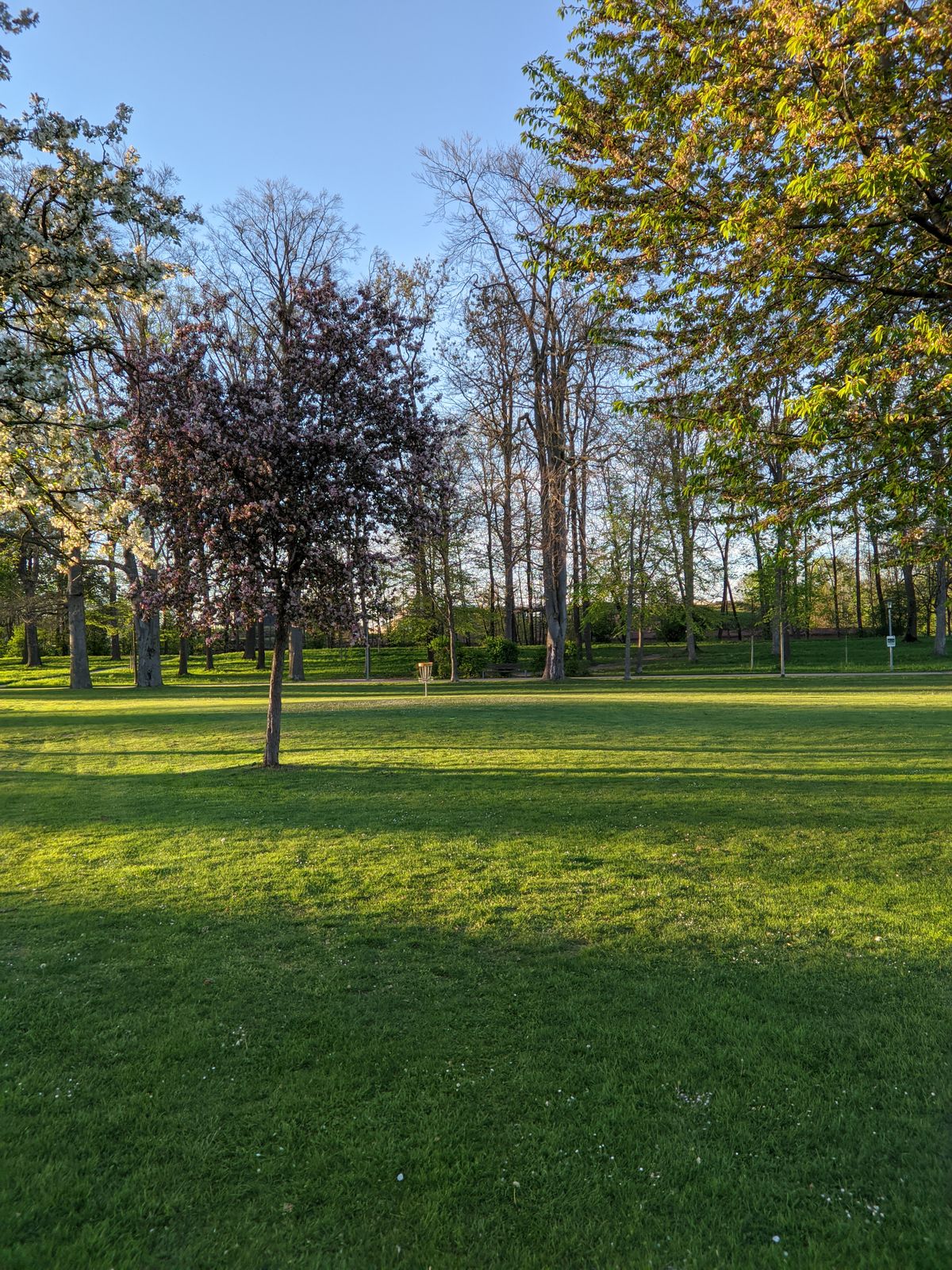 mid fairway