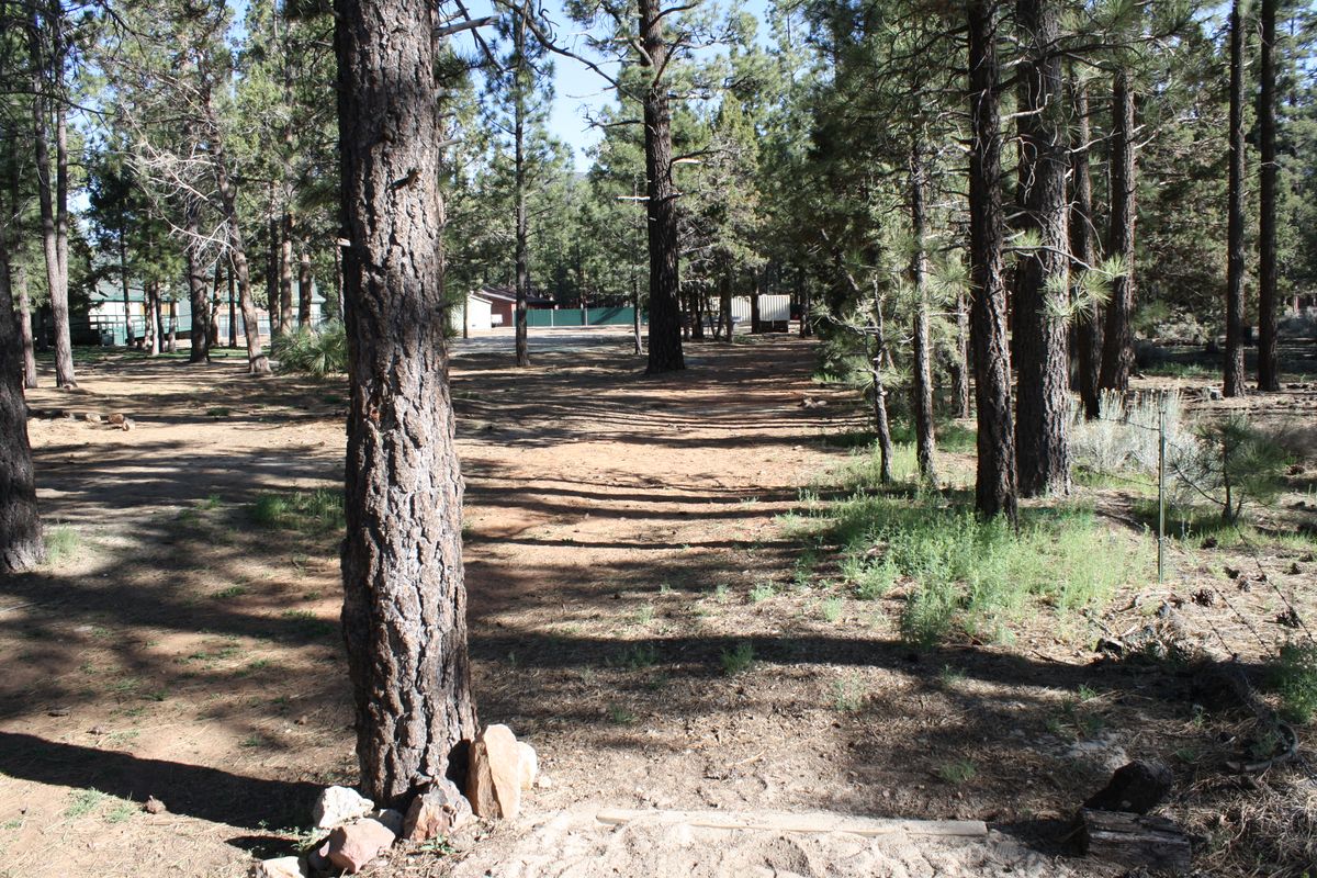 Hole 7 tee