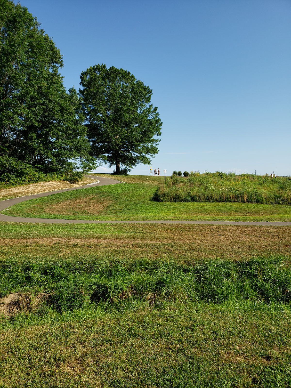 #3 Looking back up hill toward the Tees.