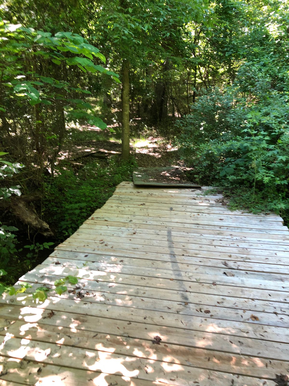 Bridge to 6th tee