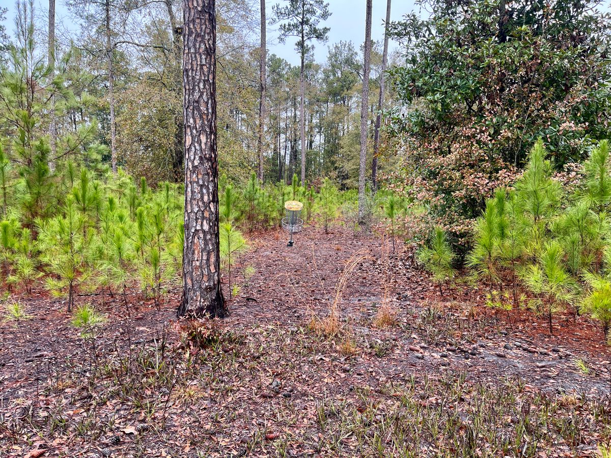 Hole 4 approach