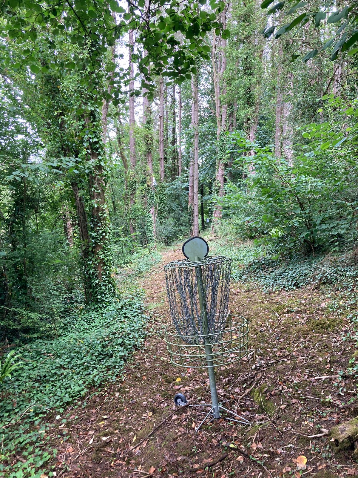 Course photo