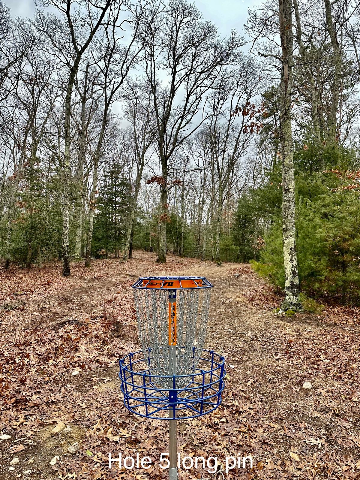 Hole 5 blue pin looking back at fairway 