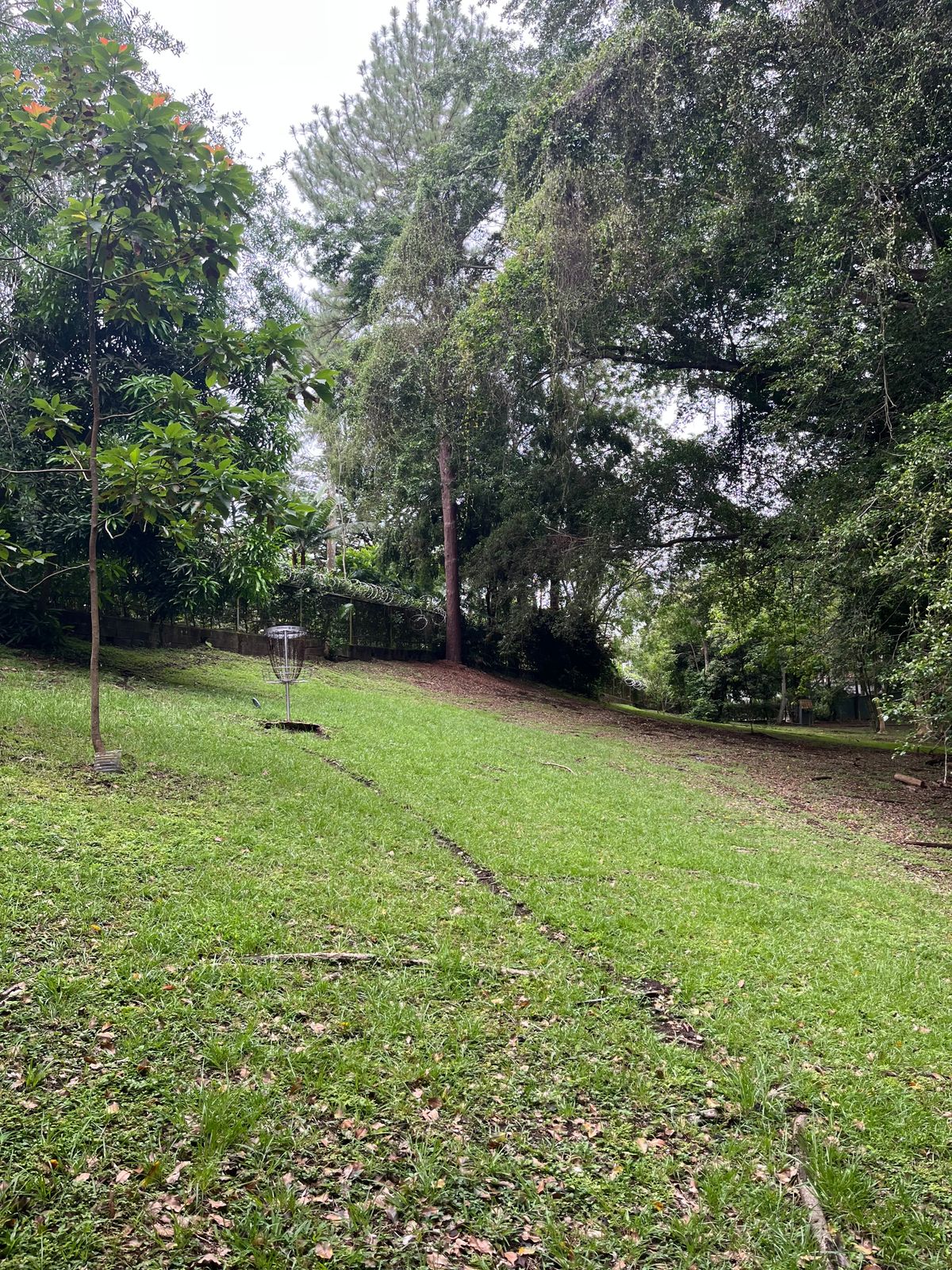 Hole 1 basket