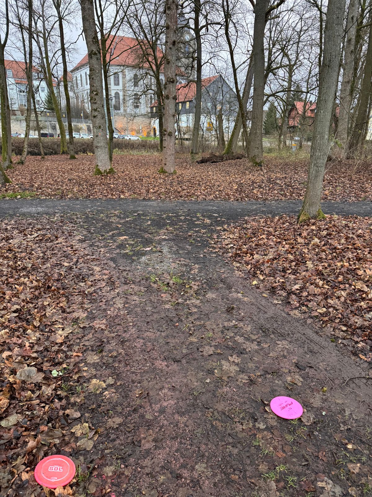 Bahn 8