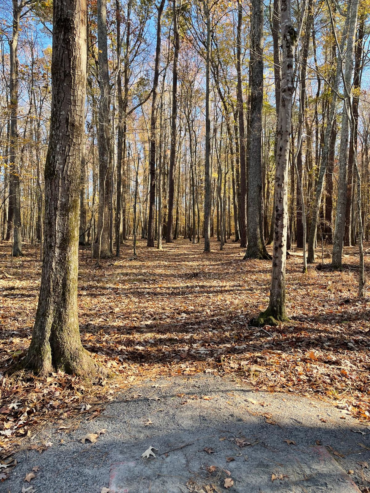 Hole 3 tee