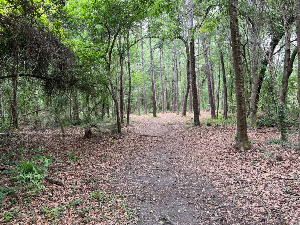 Hole 8 Red