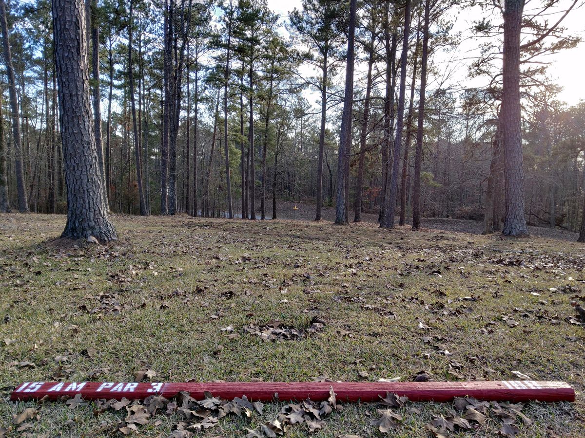 Hole 15 Amateur Tee