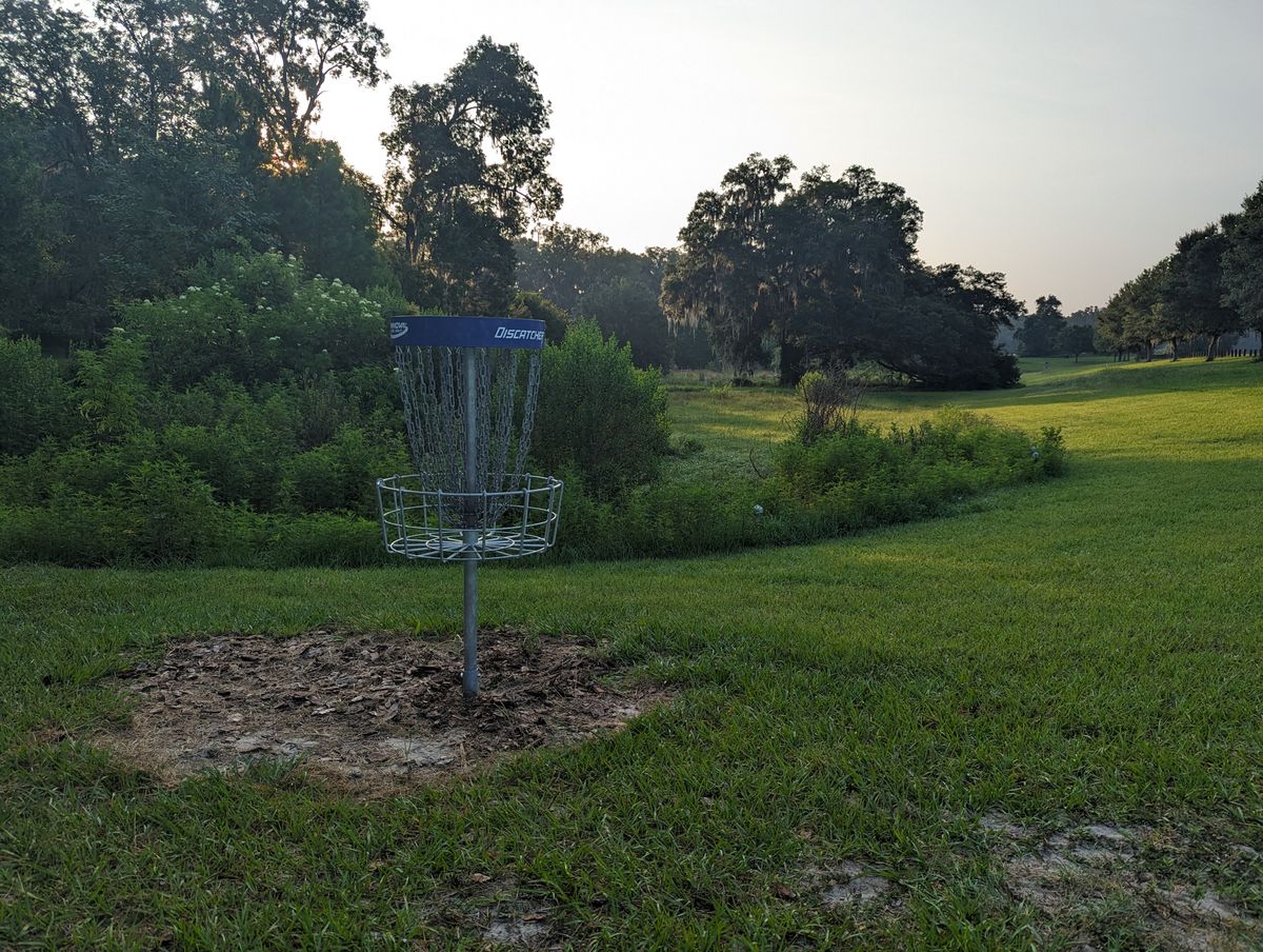 Looking back to the tee pads.