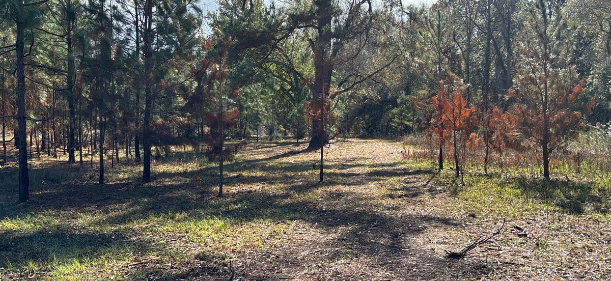 Hole 3 Red