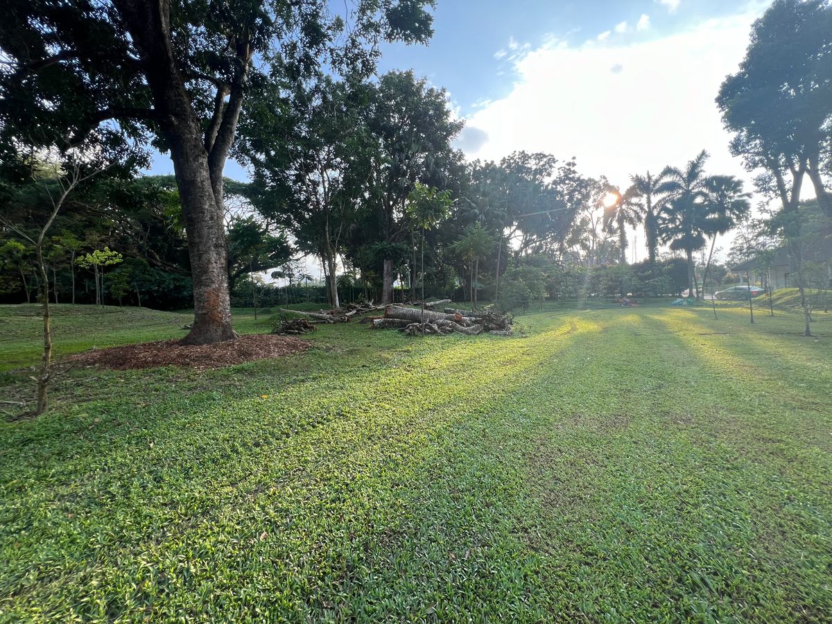 Hole 6 3rd landing zone looking towards green.