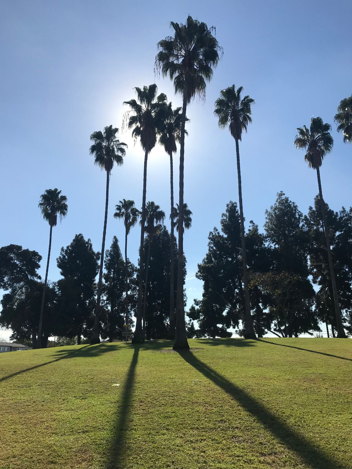 Hole 5 lakeside-