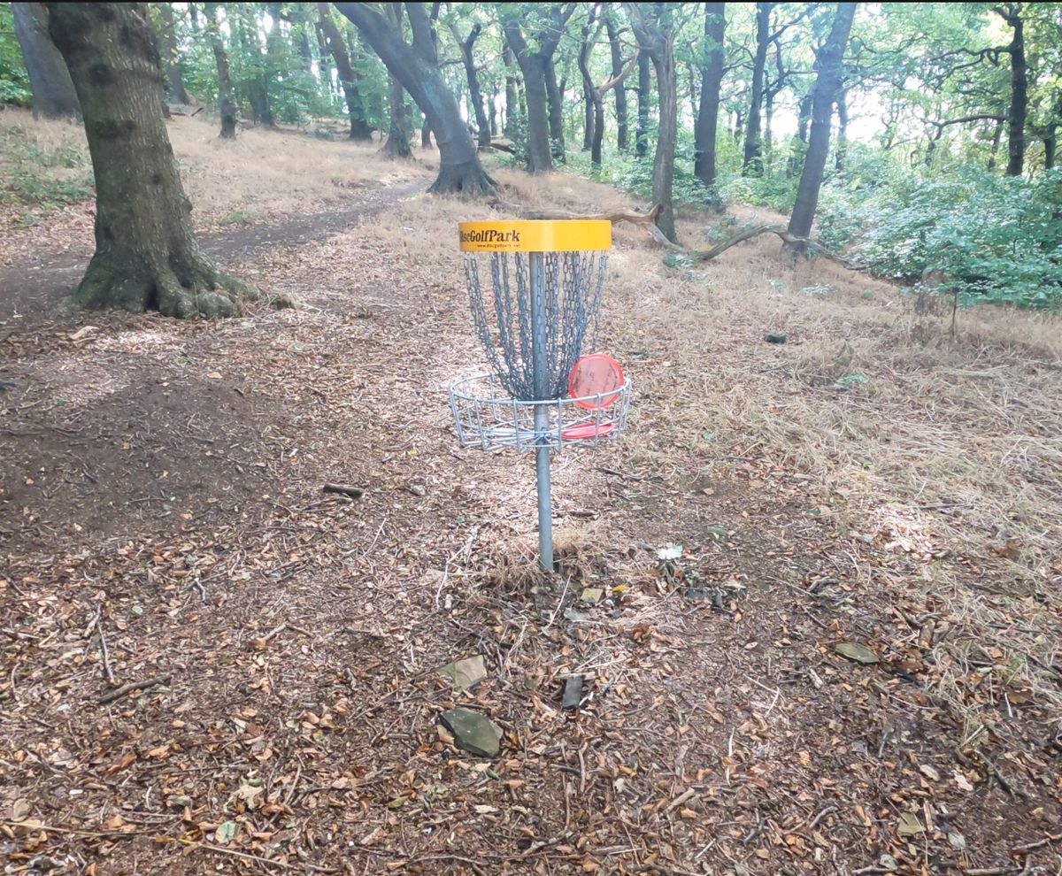 Main Basket 3