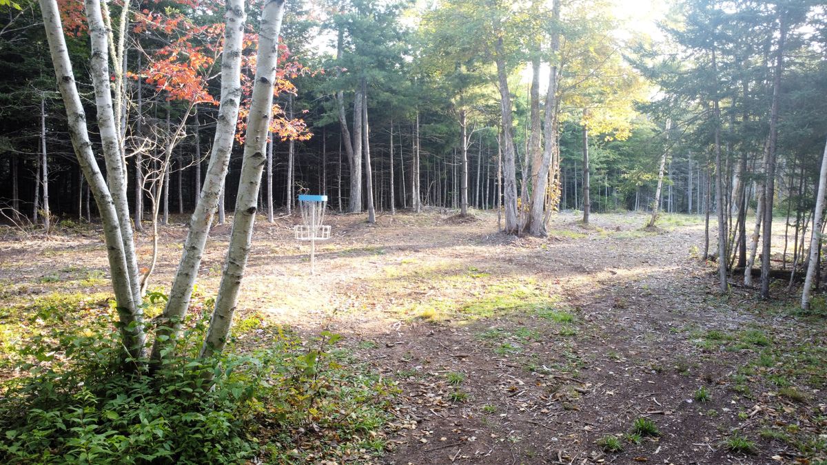 Hole 6 - view of green looking back towards fairway.