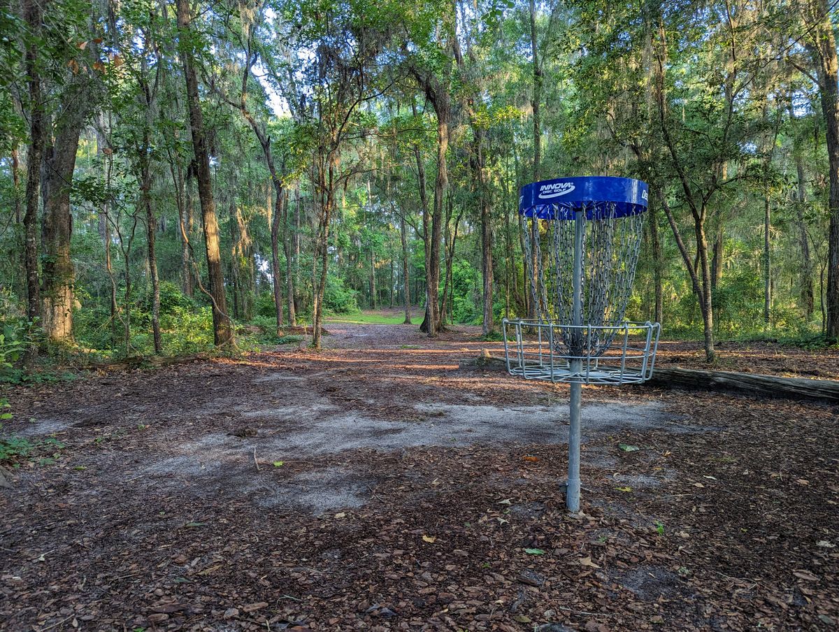 Long basket position, looking back down the fairway.