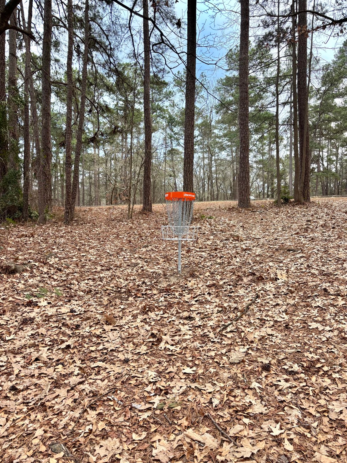 Hole 9 Basket