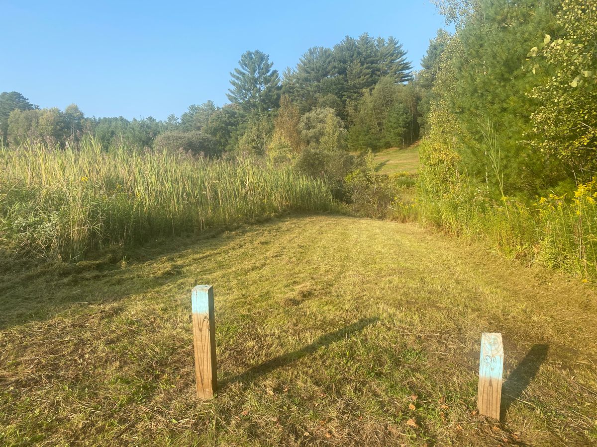 Hole 14 tee box freshly mowed