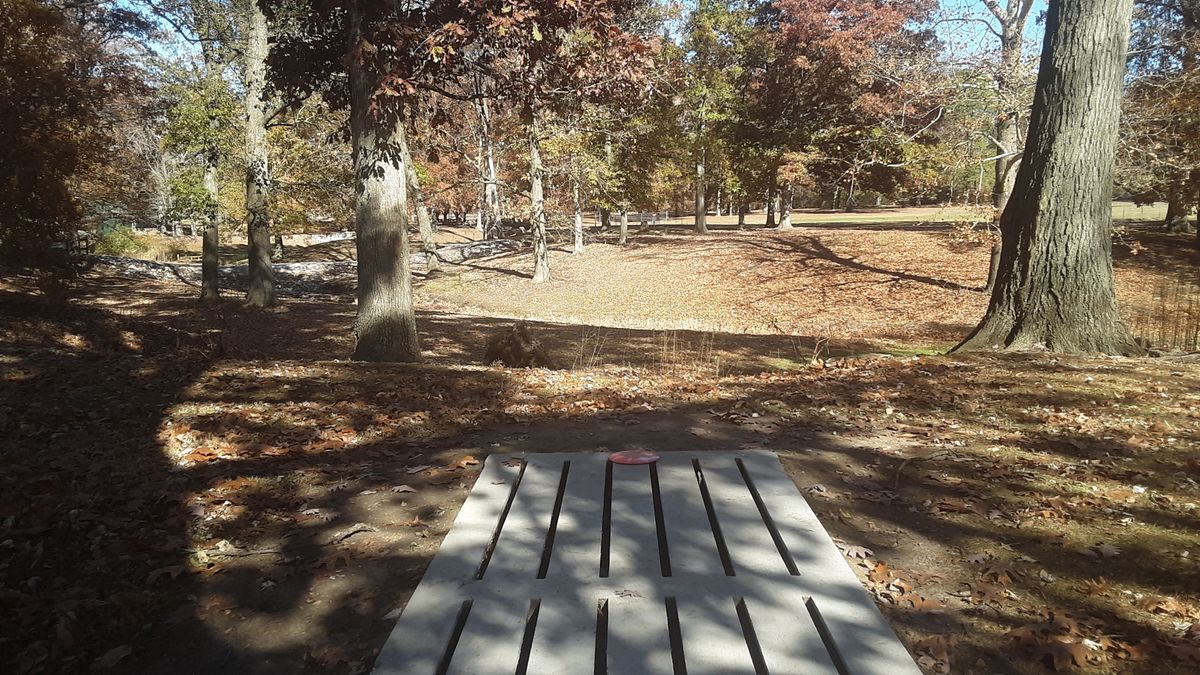 Hole 7 tee