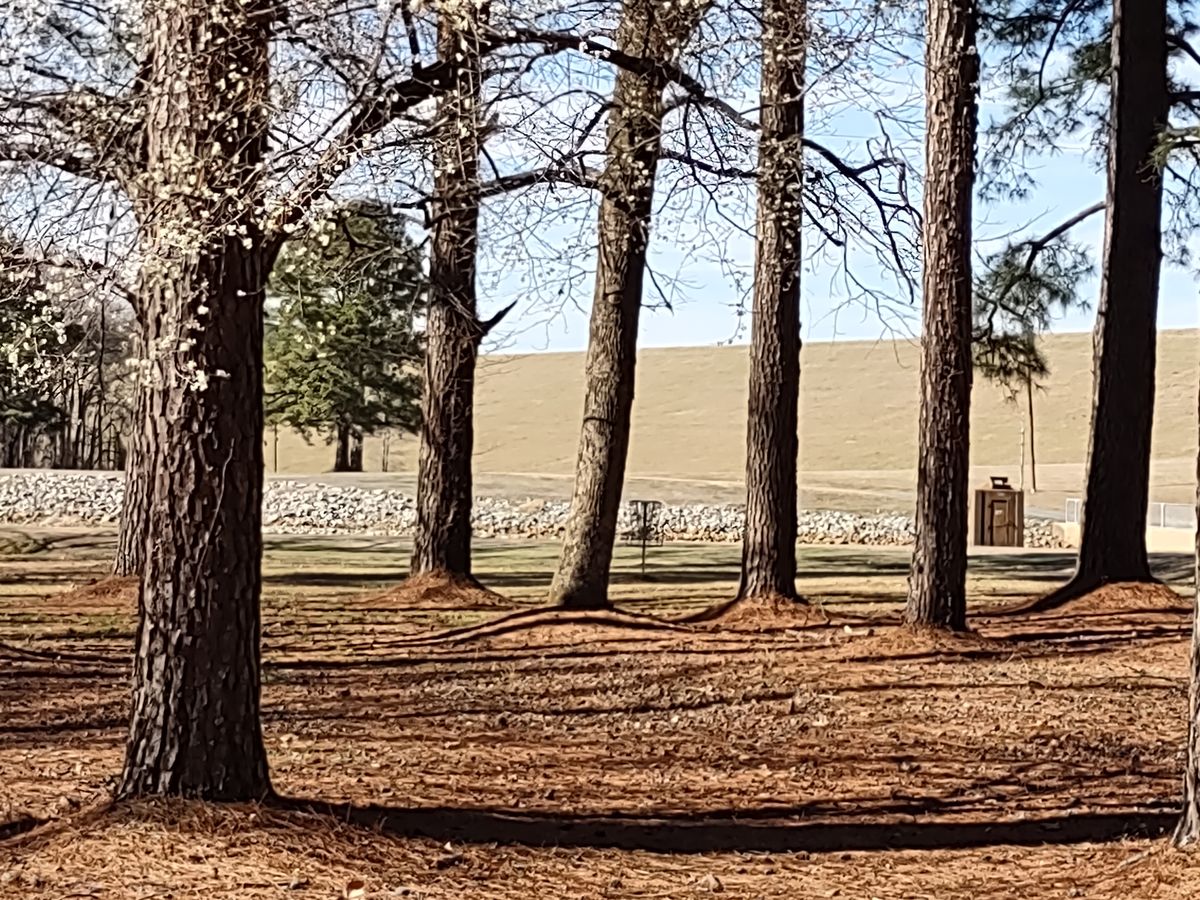 #2 Fairway