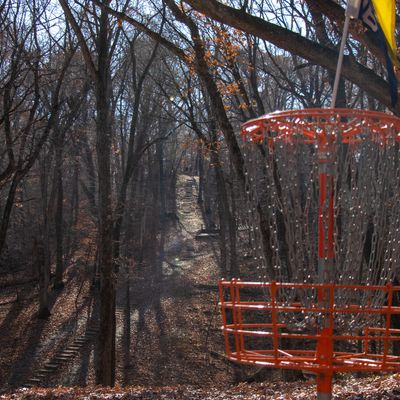 Hole 11 basket. Tee pads in the distance