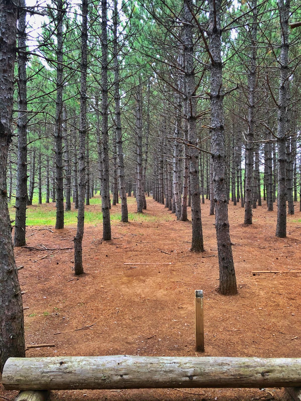 Hole #7.