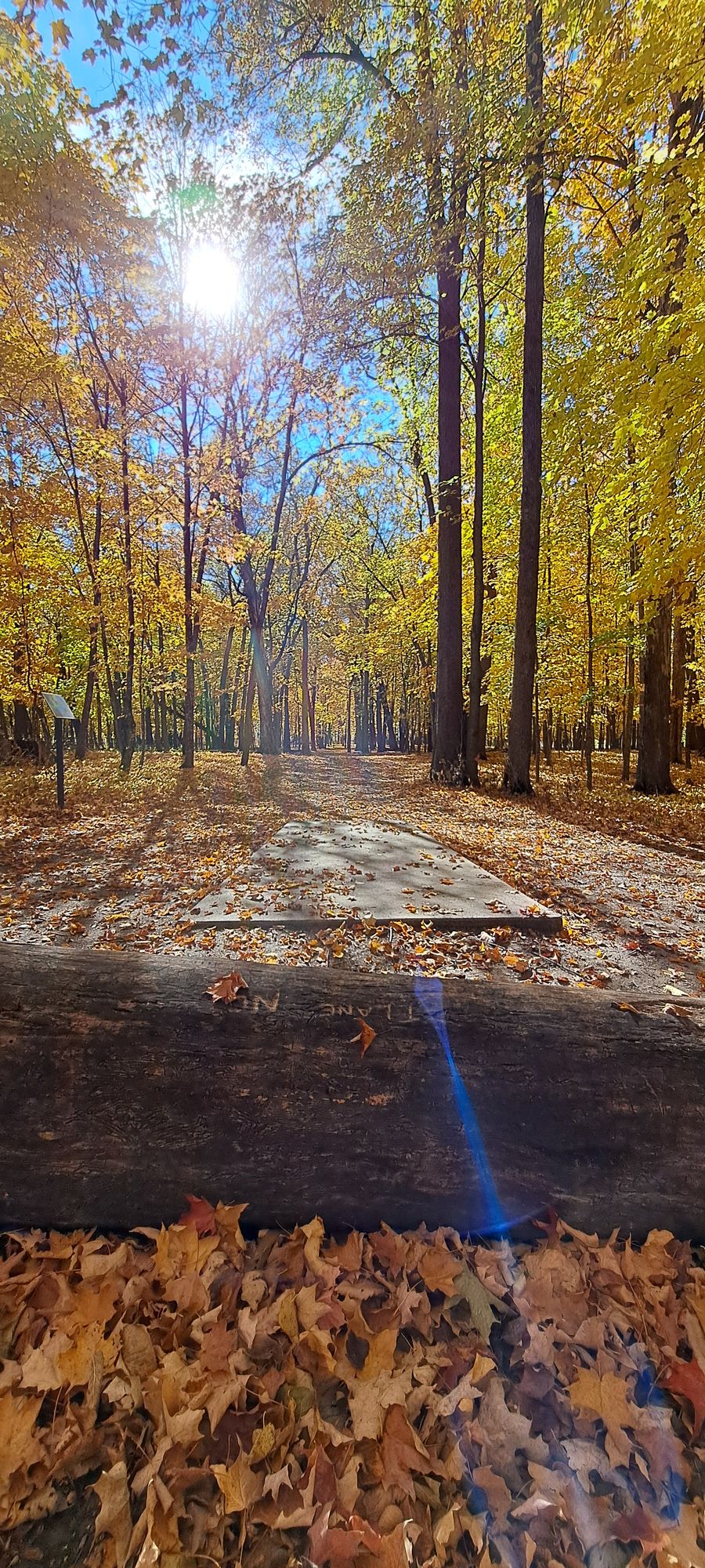 Hole 12 tee pad.