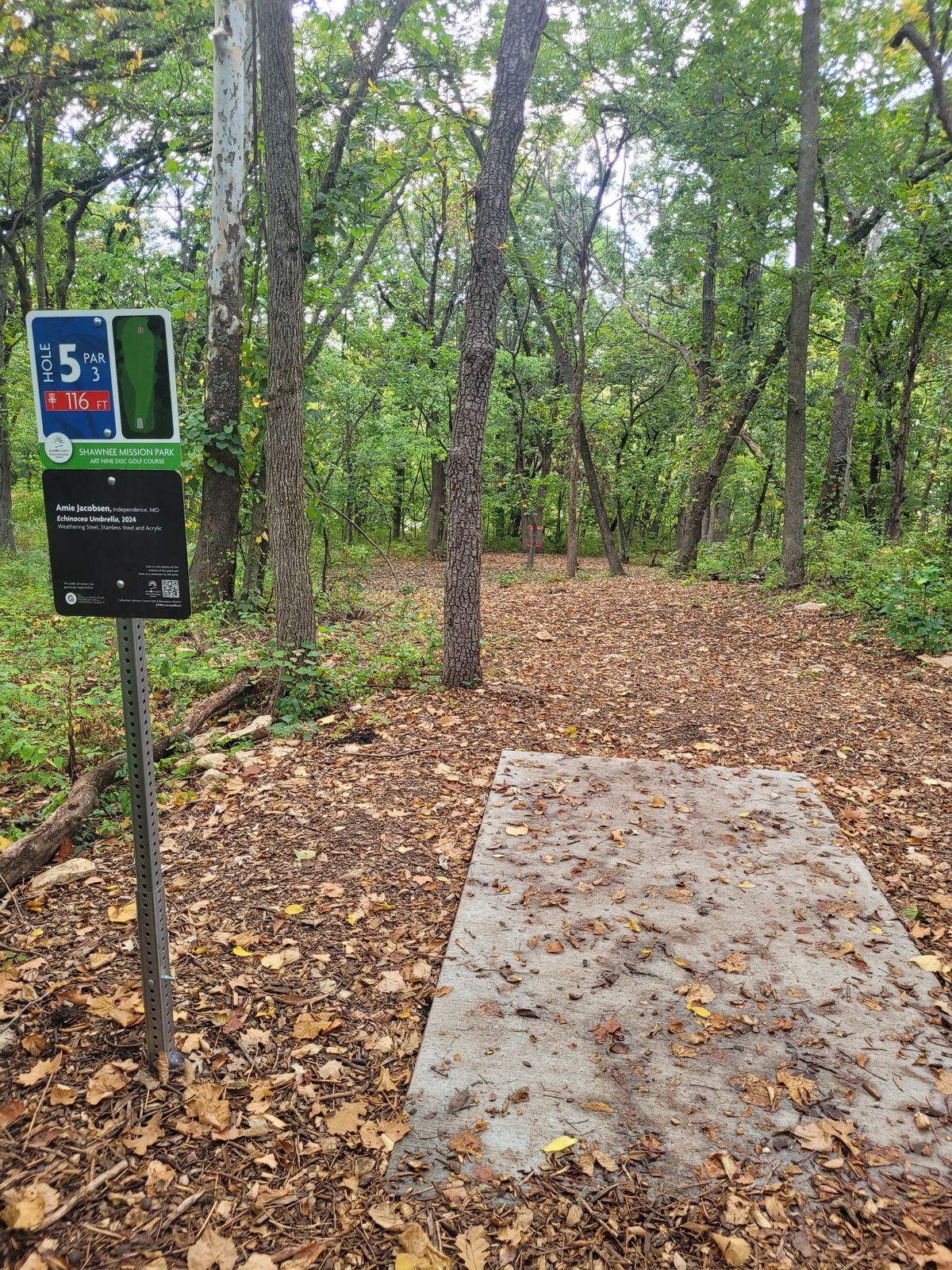 Hole 5 - small tree in way of basket