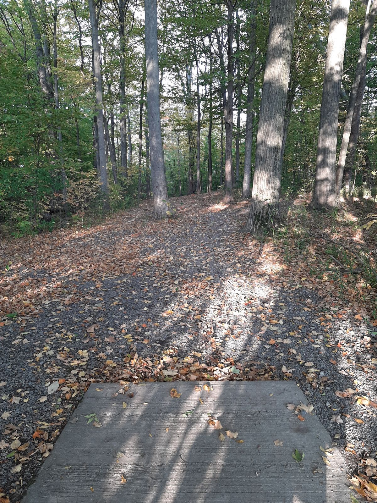 Hole 10 is a short.