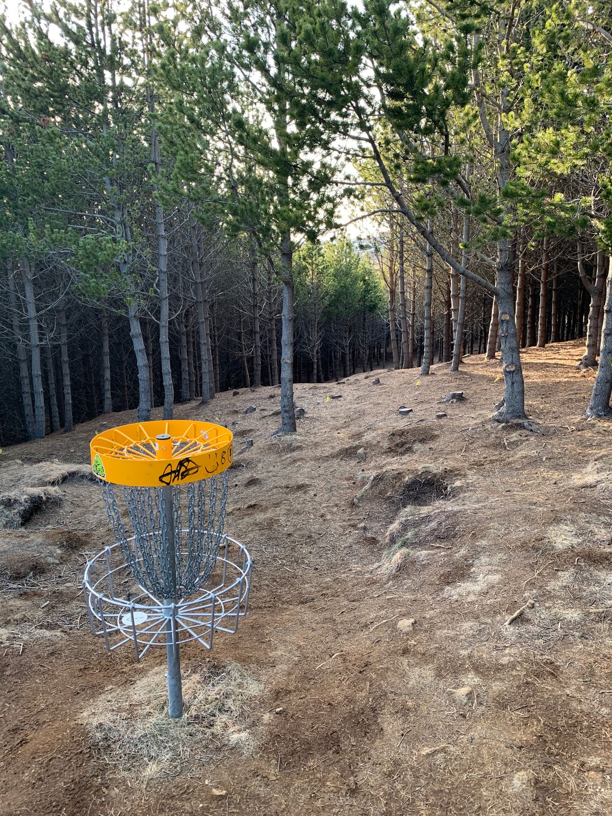 Hole 7