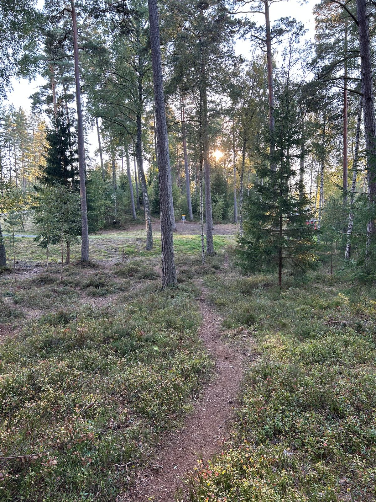 Fairway 4A