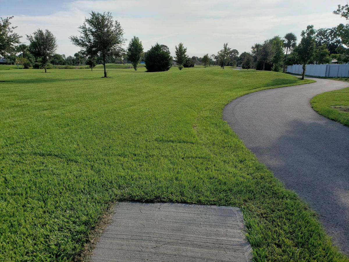 #3 Tee Box view of the Fairway.