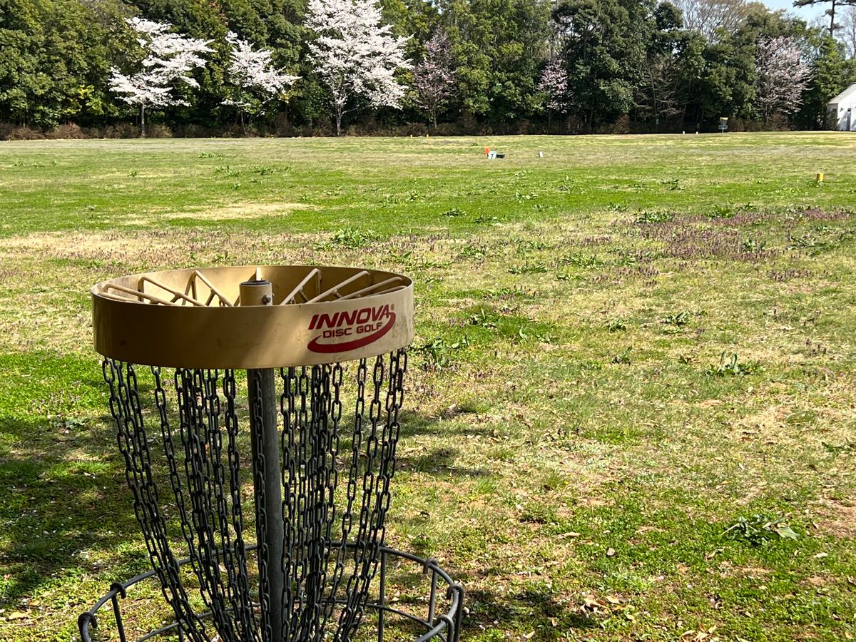 Hole 7 tees start in the open.