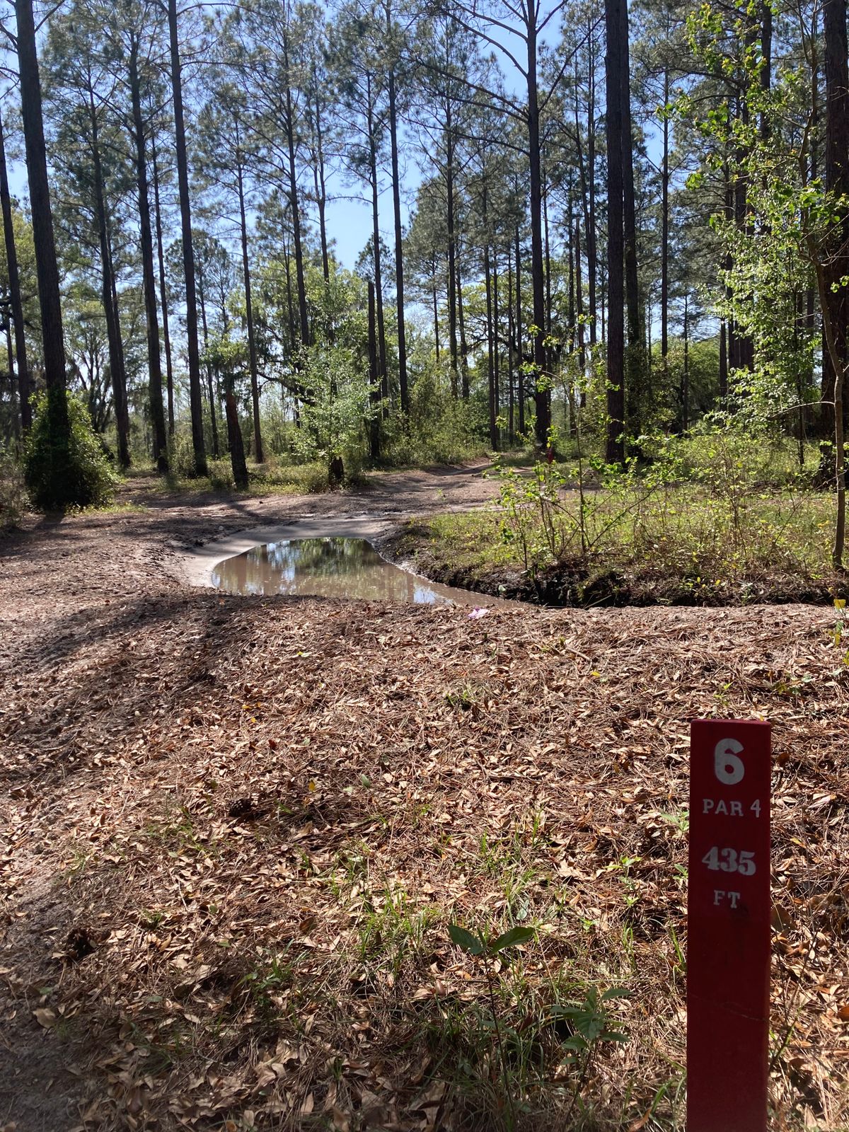Hole 6