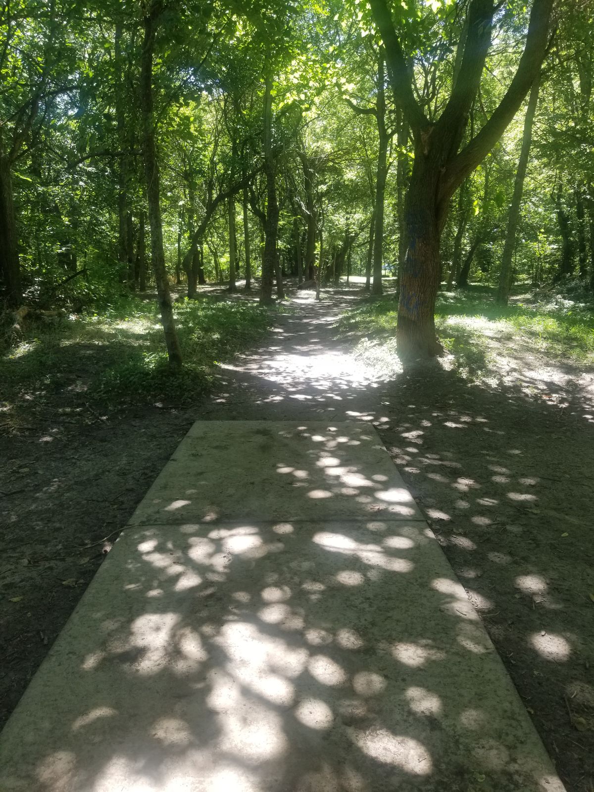 Hole #6, Red Tee