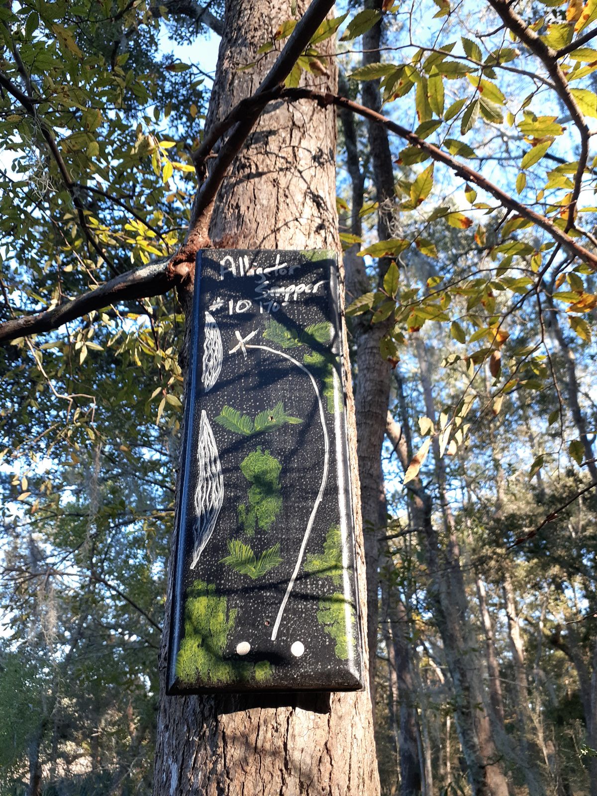 Hole #10, Alligator Supper