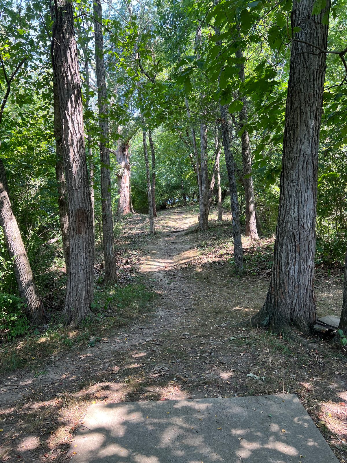 Hole 10 fairway to the short basket location.. Can you conquer the O-town hill climb?
