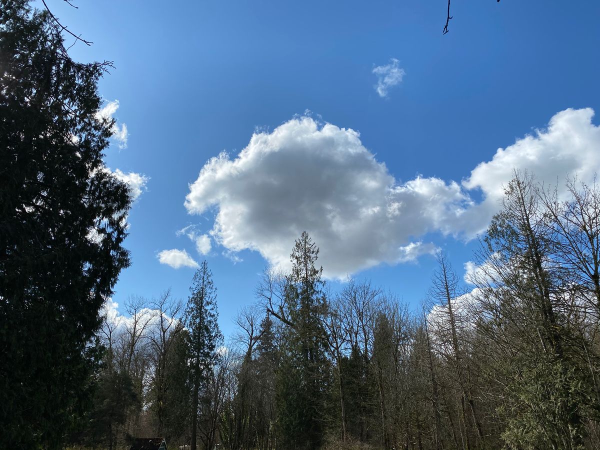 Photo from 4th hole Tee - 03/25/2021