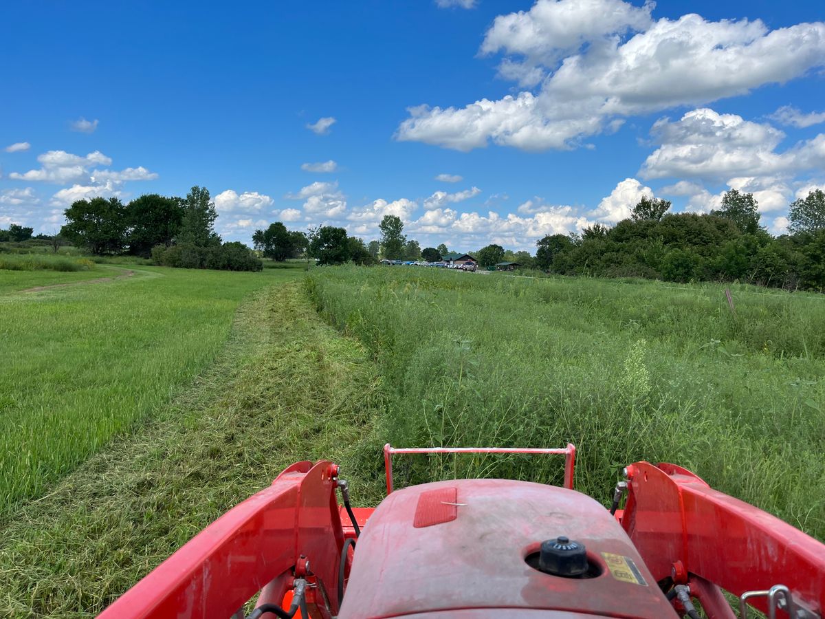 Hole 4 rough by road