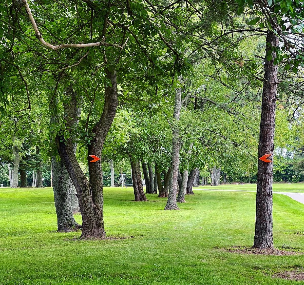 Hole 1 with B basket in background.