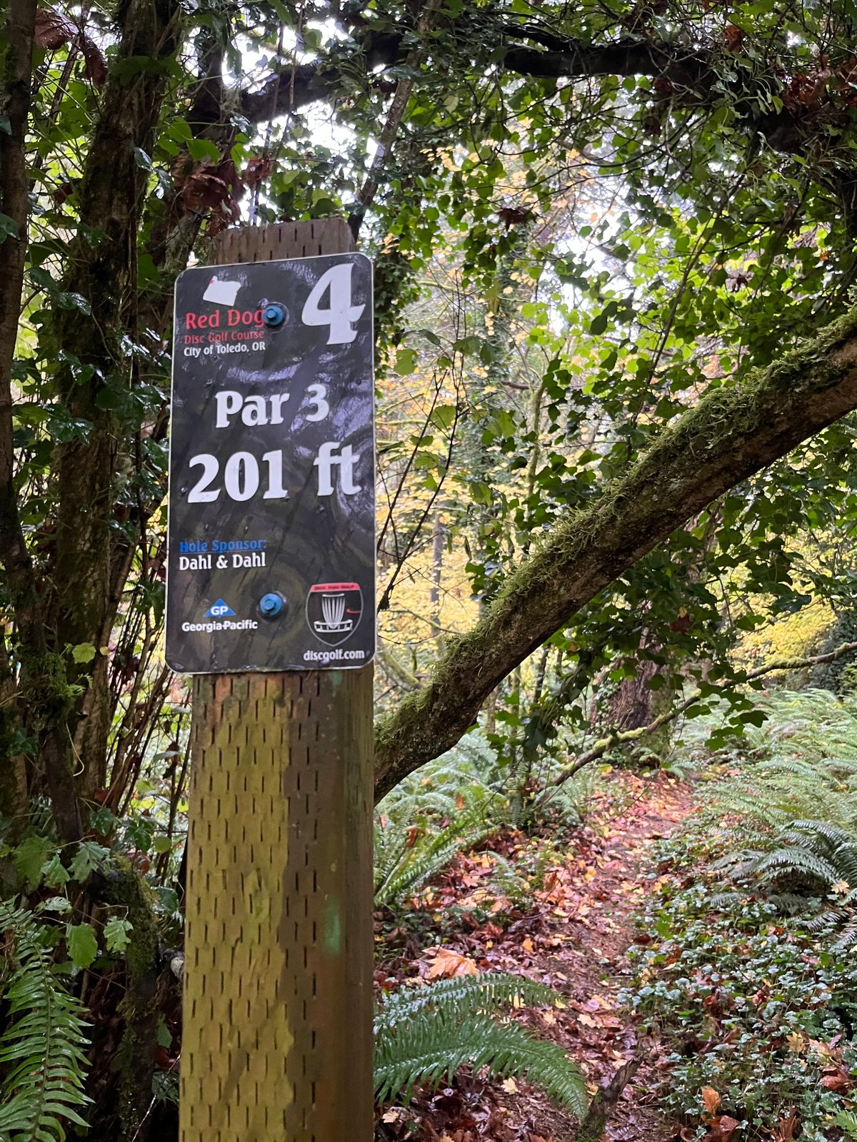 Hole #4