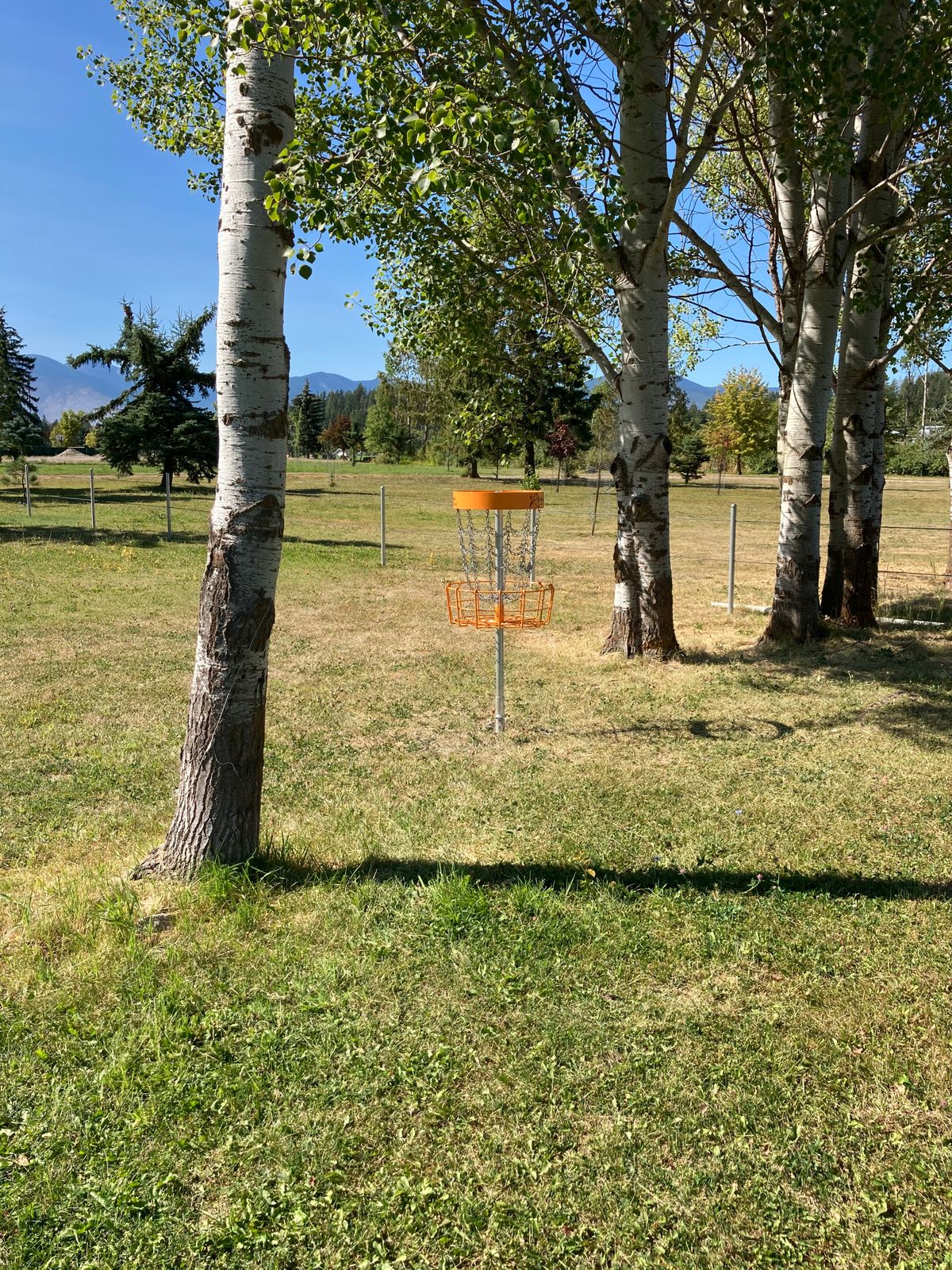 Hole 1 basket