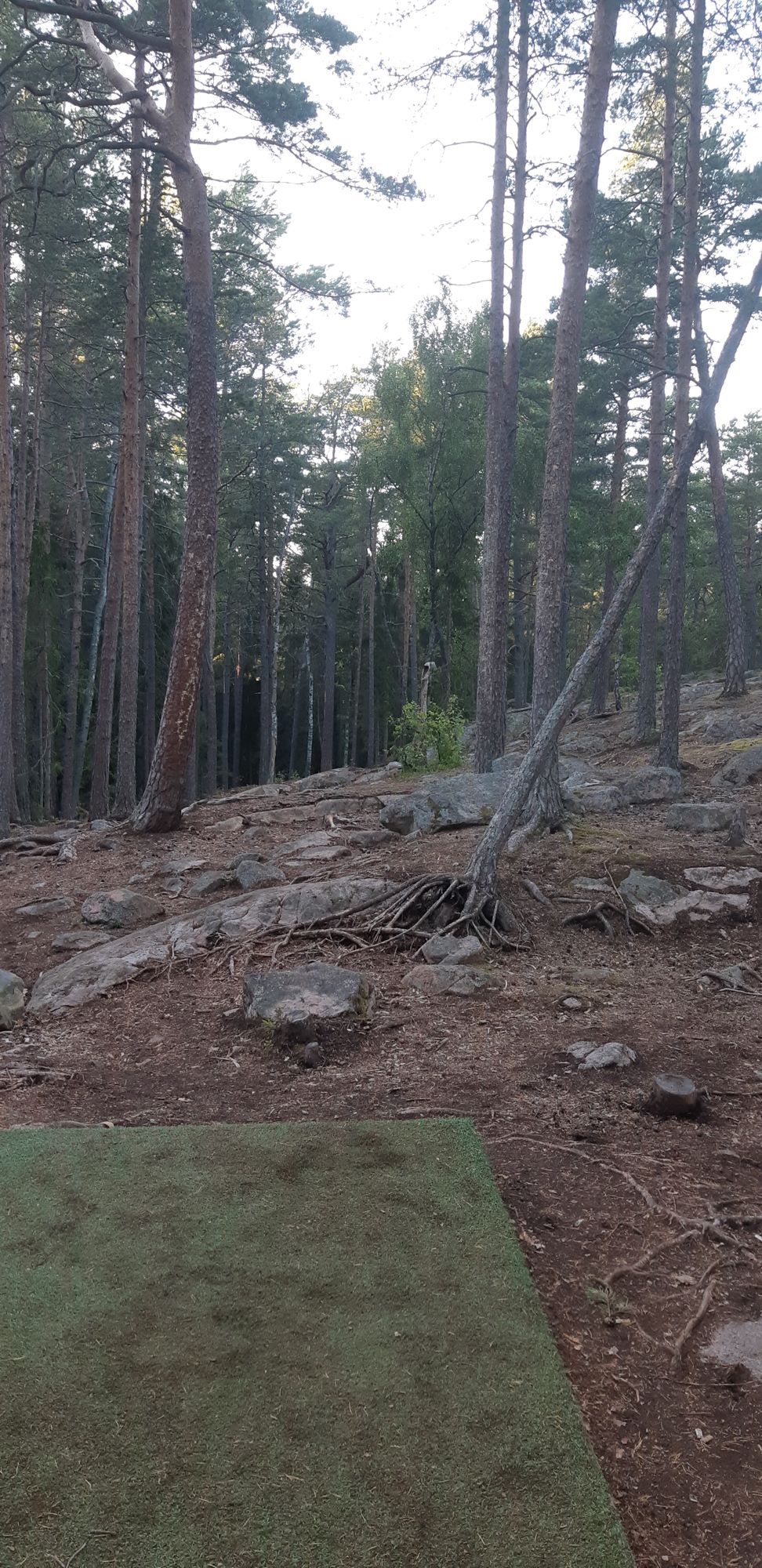 Hole 2