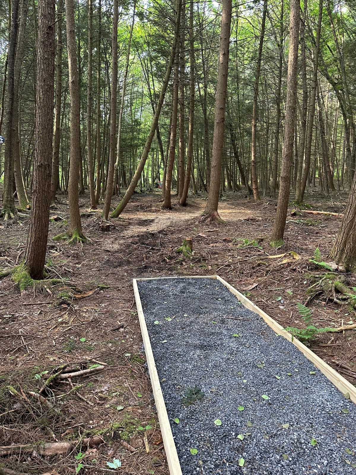 Hole 4 Red Tee