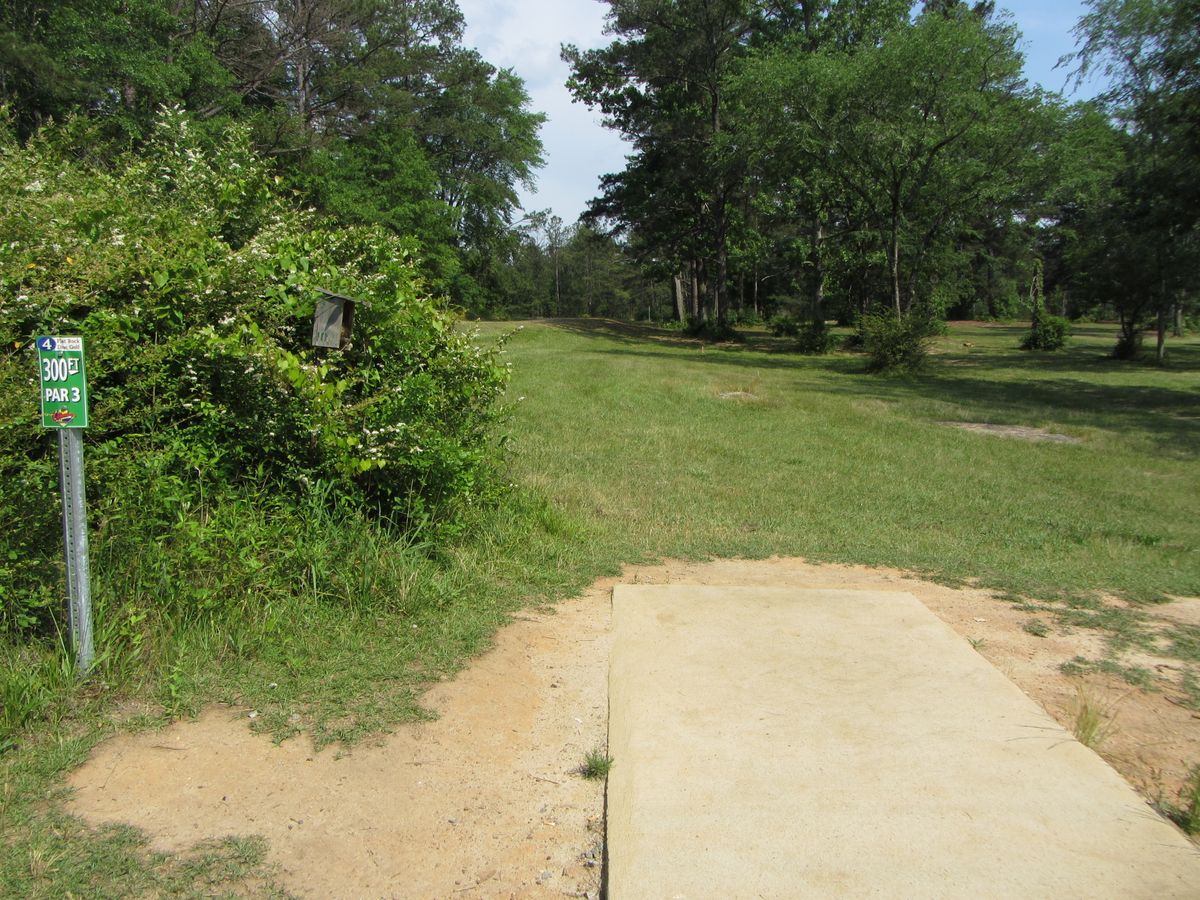 Hole 4