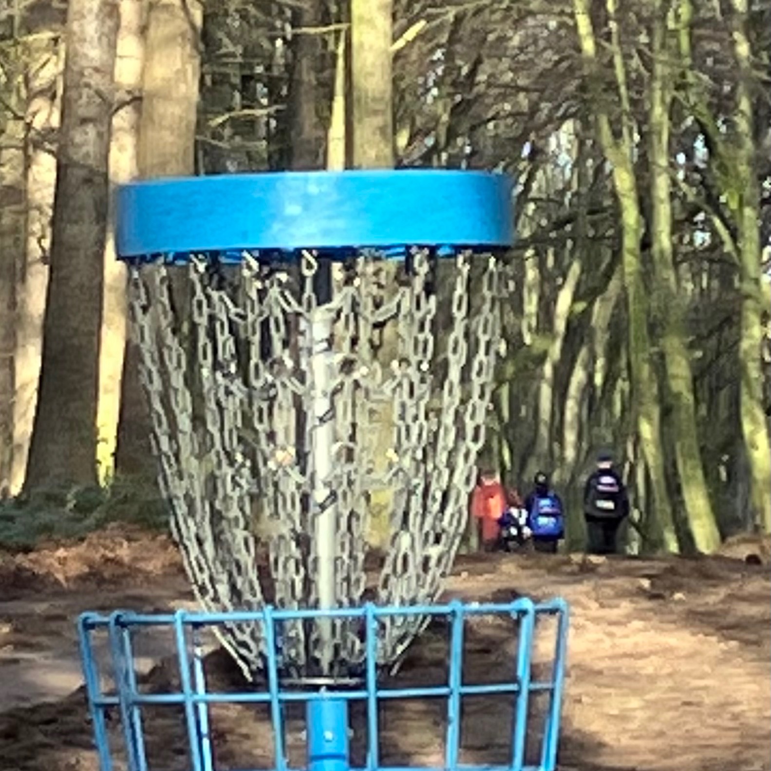 Bluebell Blue League 