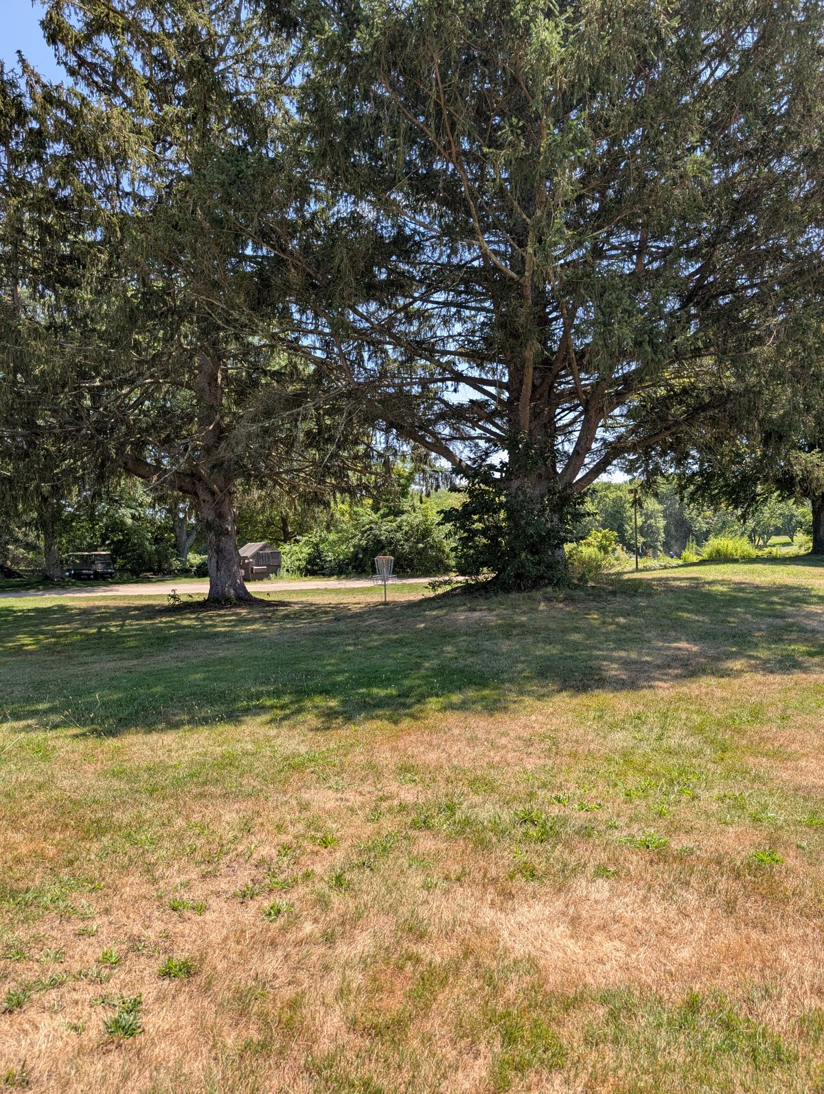 Hole 5 Basket location