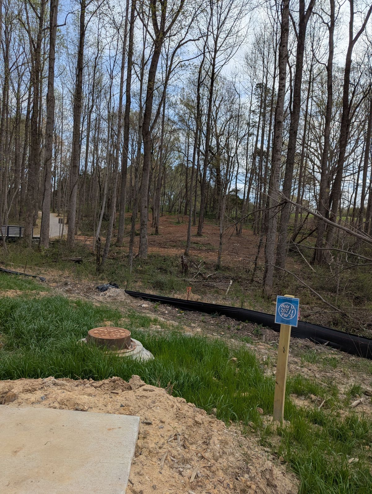 Hole 11
