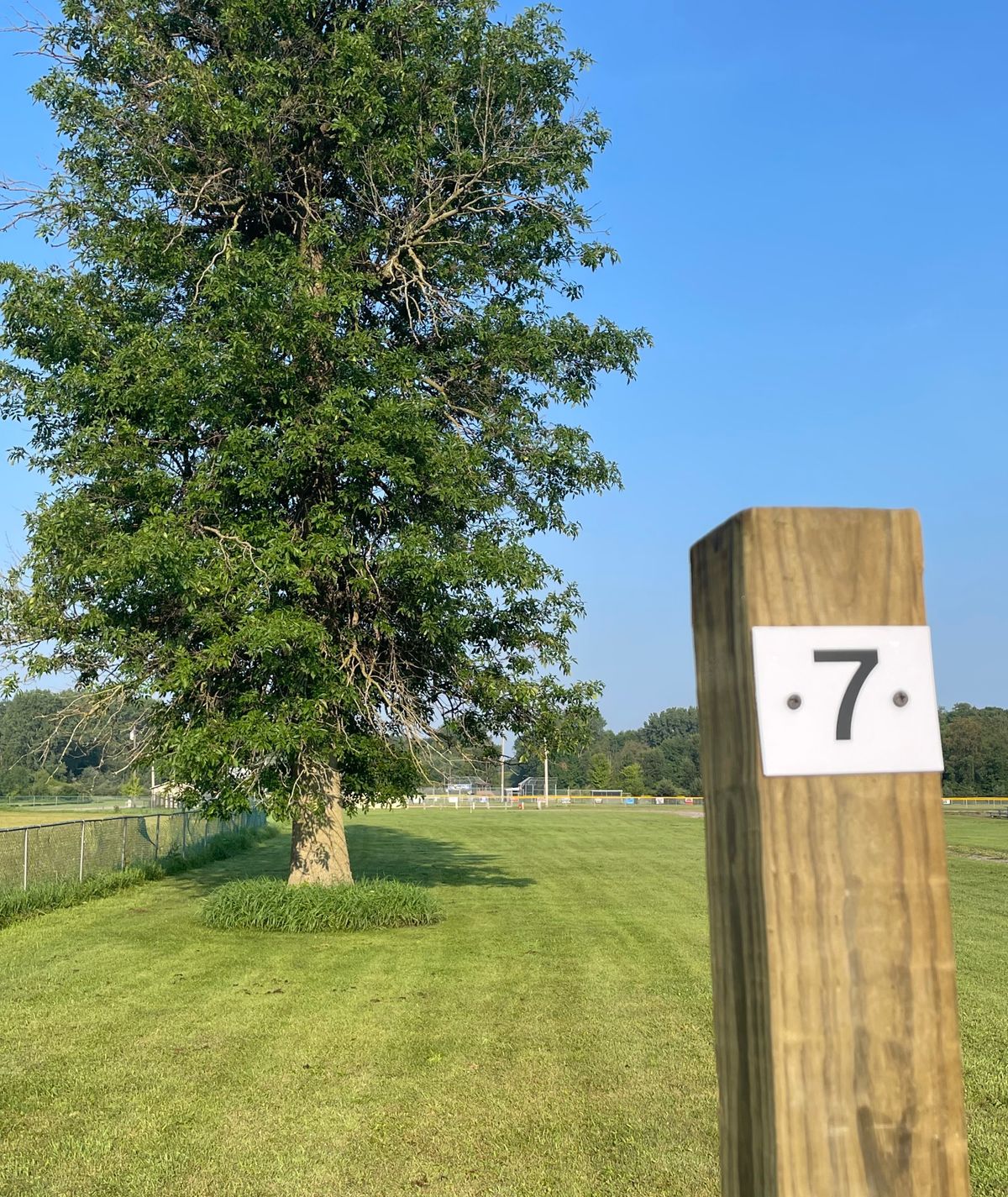 Hole 7 from the Tee